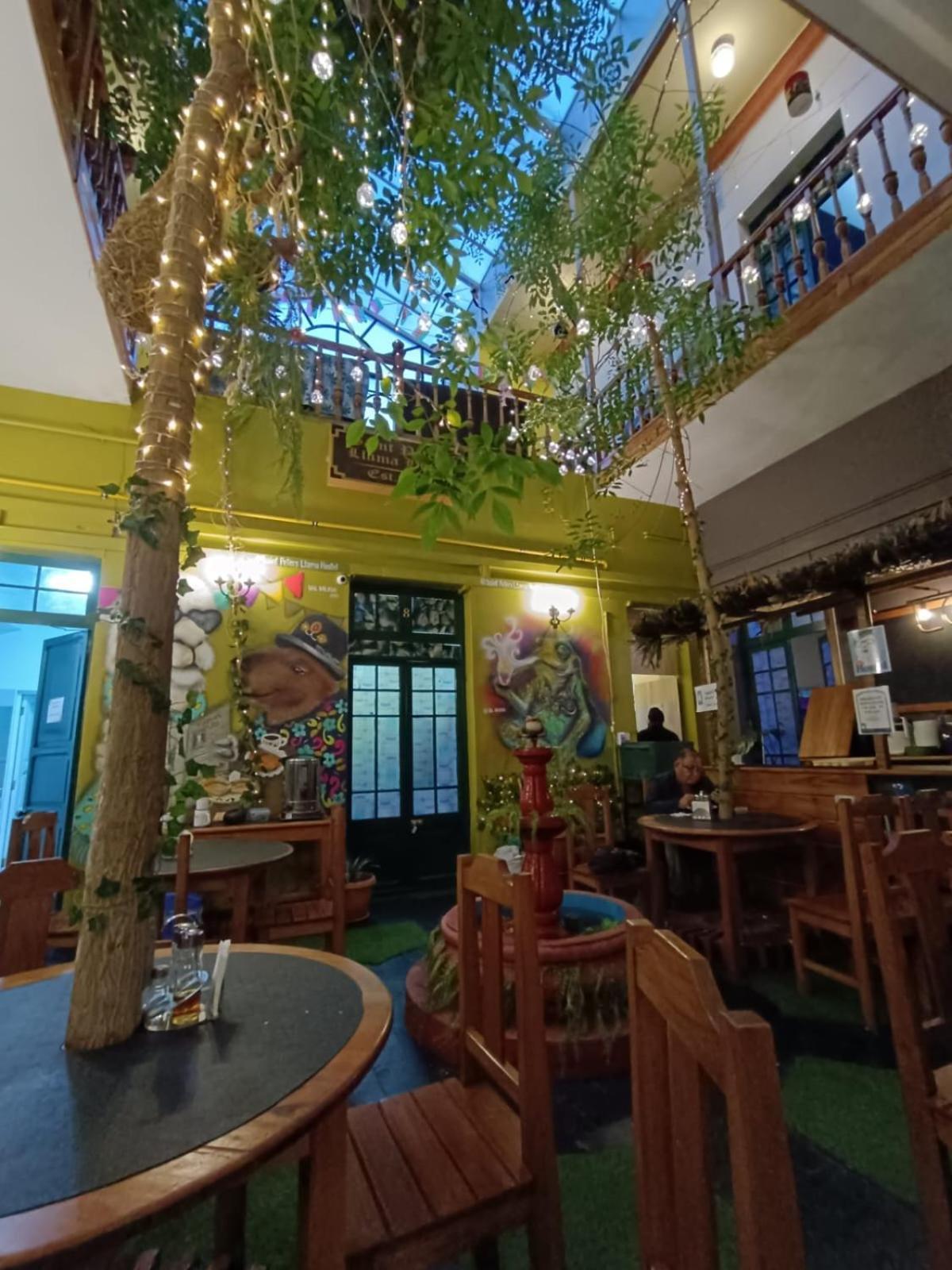 Saint Peter'S Llama Hostal La Paz Exterior photo